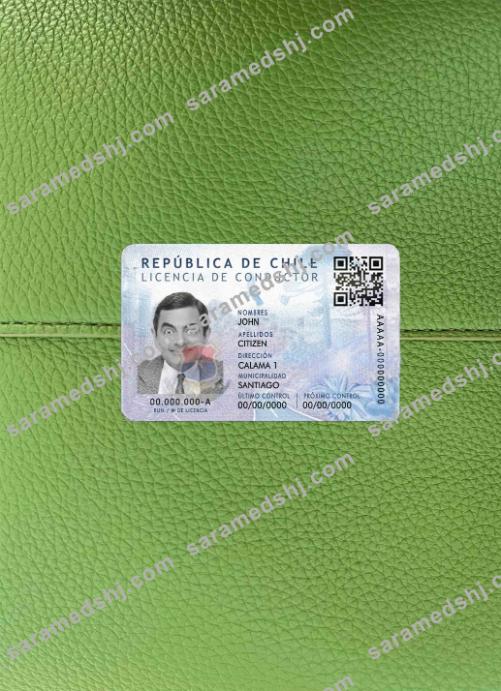 Chile Dl psd photolook FRONT